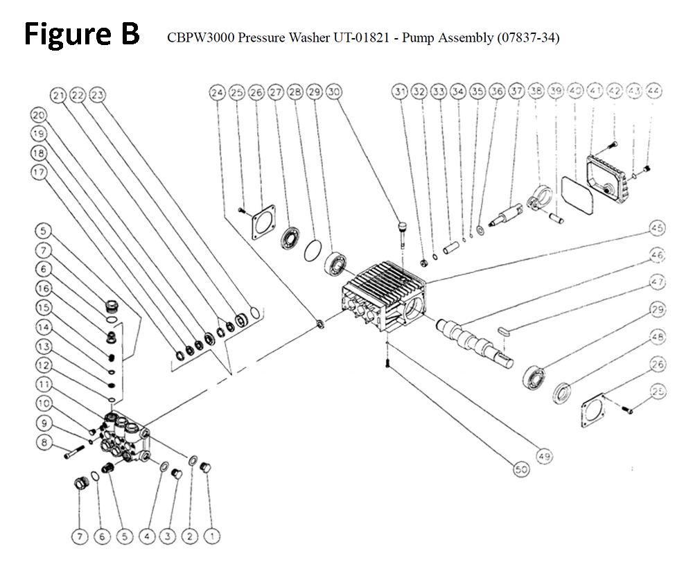 CBPW3000-(UT-01821)-homelite-PB-2Break Down
